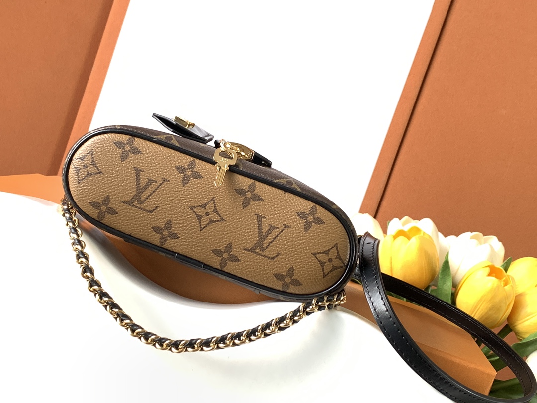 Louis Vuitton 化妆包Vanity Chain Pouch 手袋