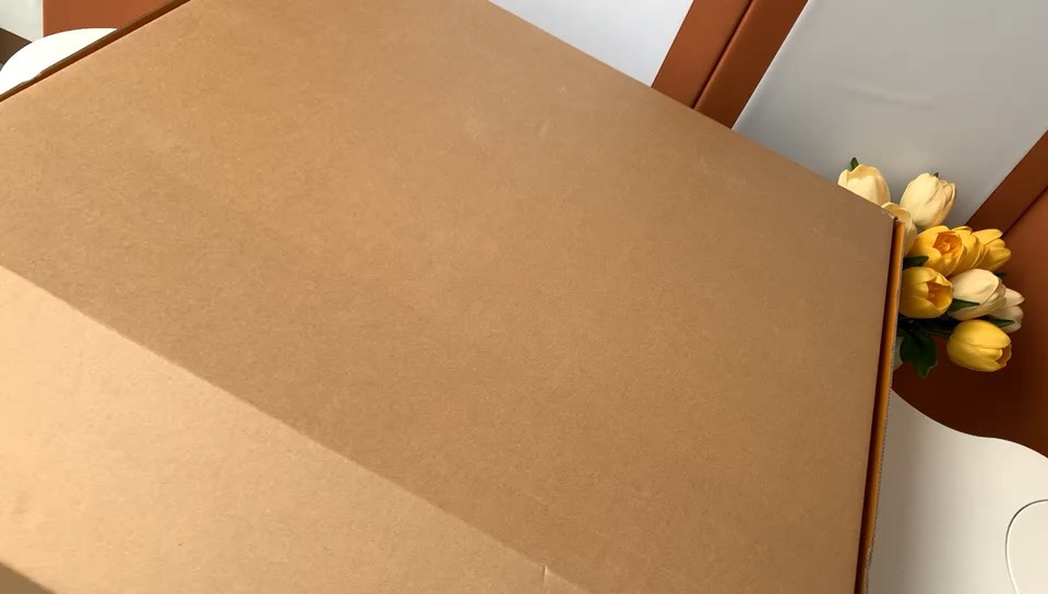 Bolsa de viaje Keepall 50 M41416