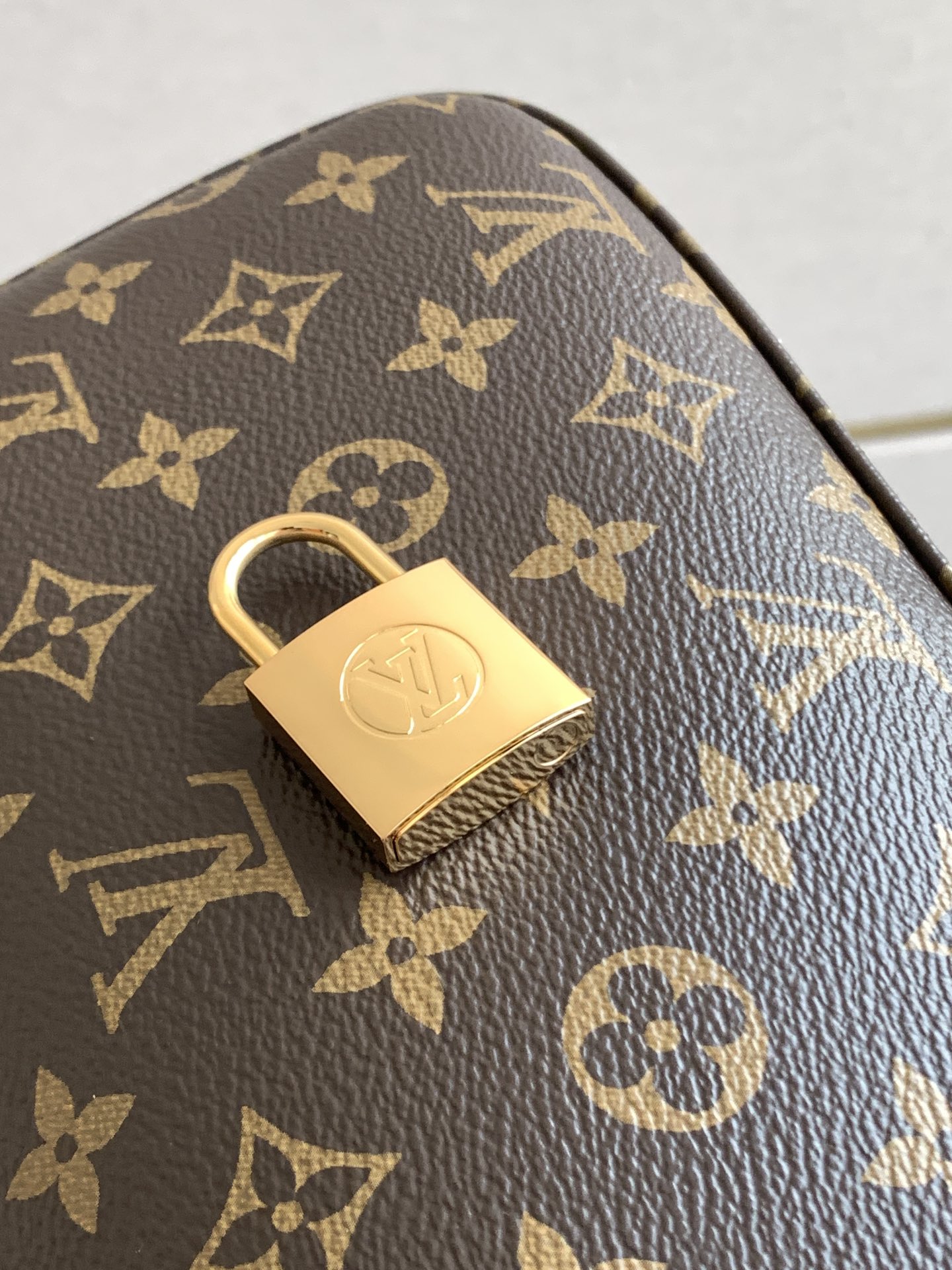 Louis Vuitton Slouchy 小号手袋