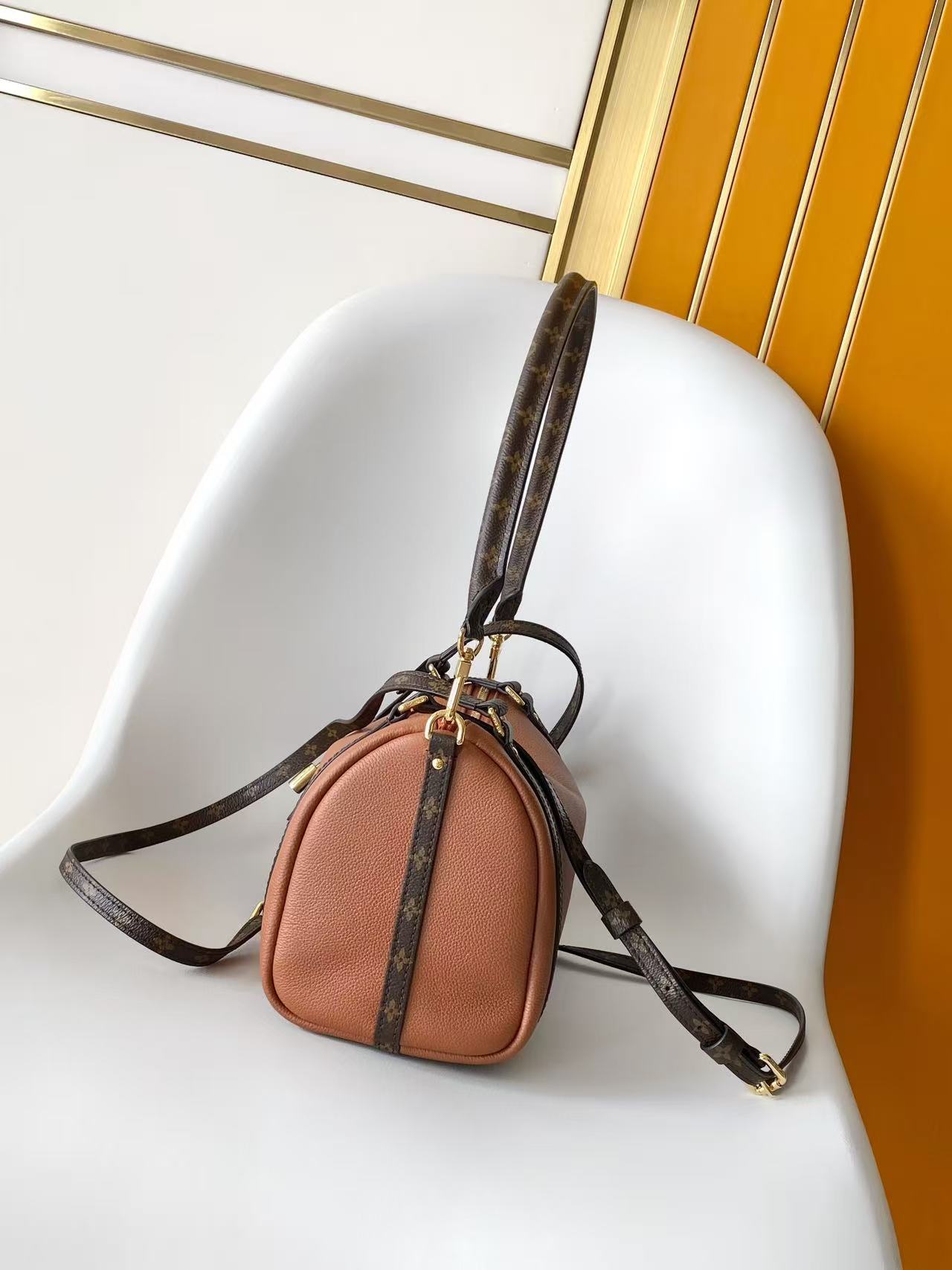 LOUIS VUITTON Tan Express PM