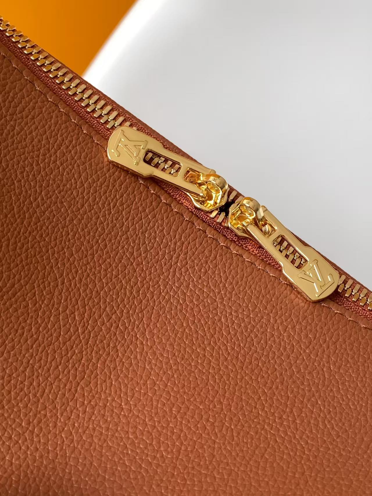 LOUIS VUITTON Tan Express PM
