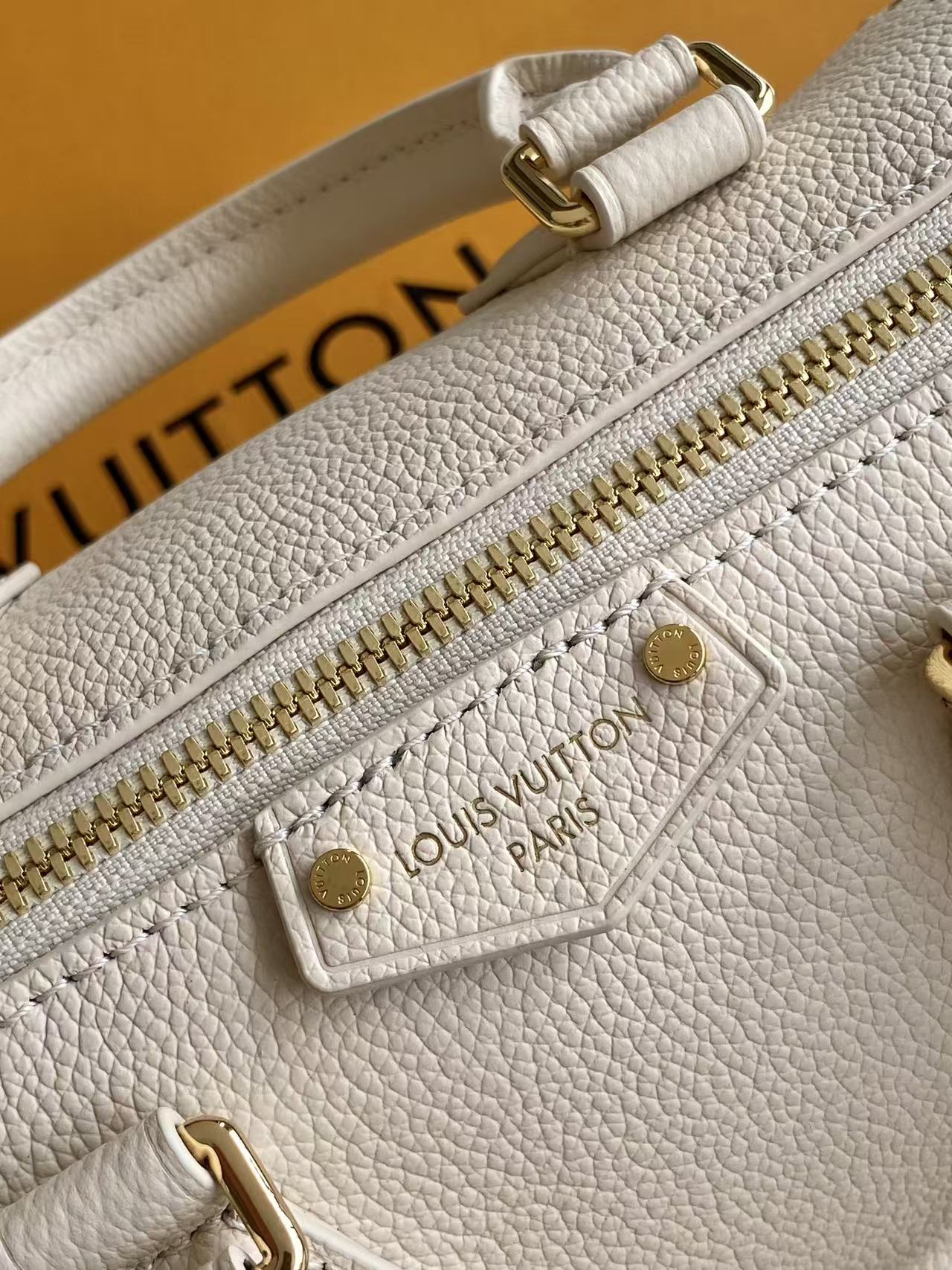 LOUIS VUITTON Almond Speedy Trunk Twenty