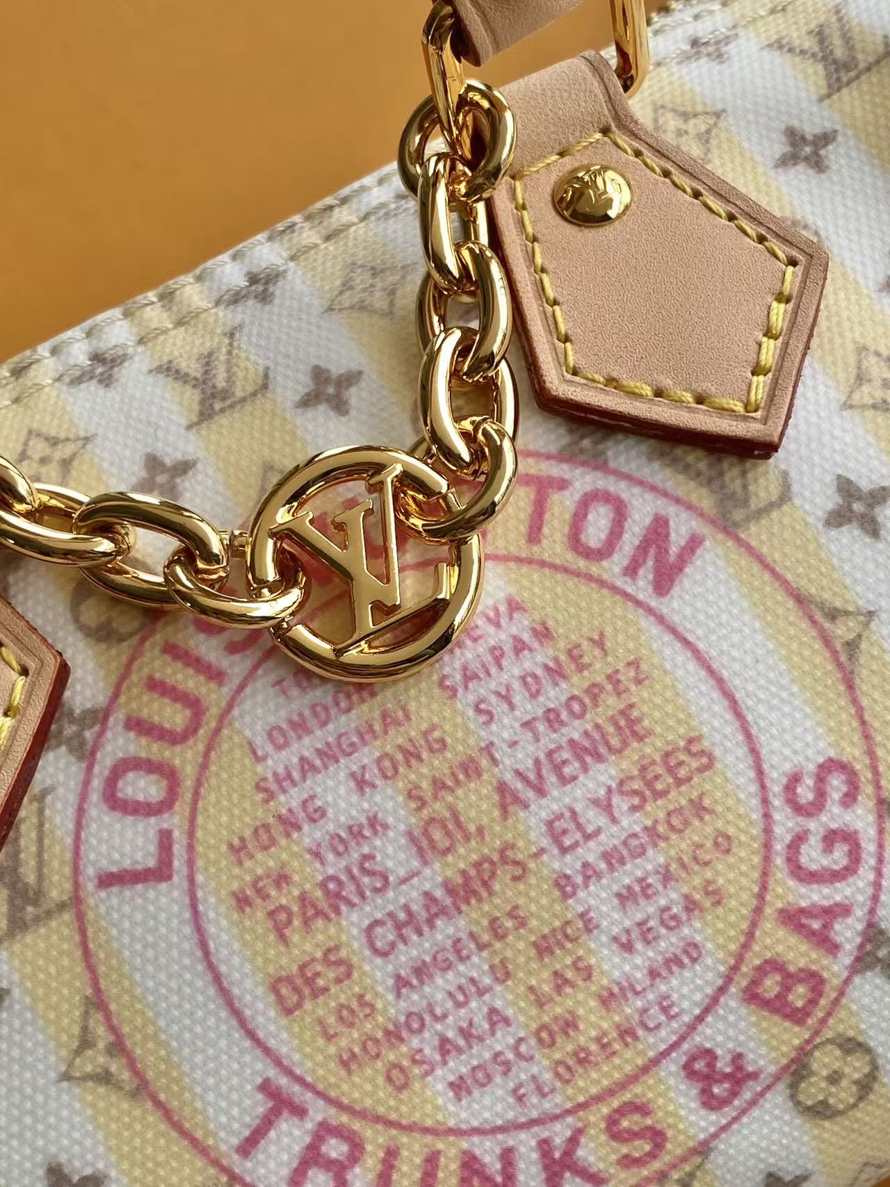 Louis Vuitton Speedy Nano Trunks & Bags Jacquard