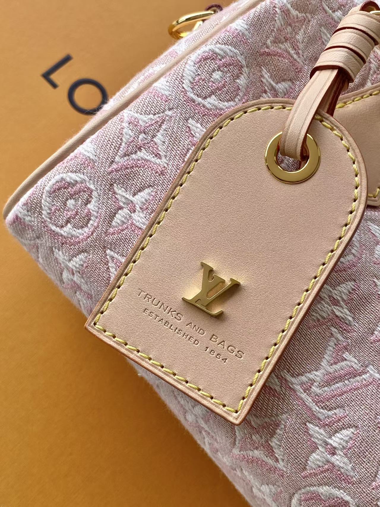 Louis Vuitton Speedy Bandoulière 20
