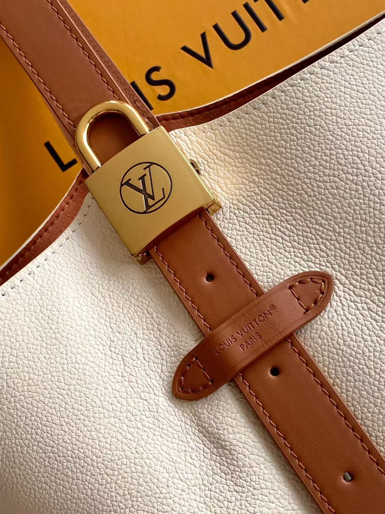 LV Low Key Hobo shoulder monogram pouch bag
