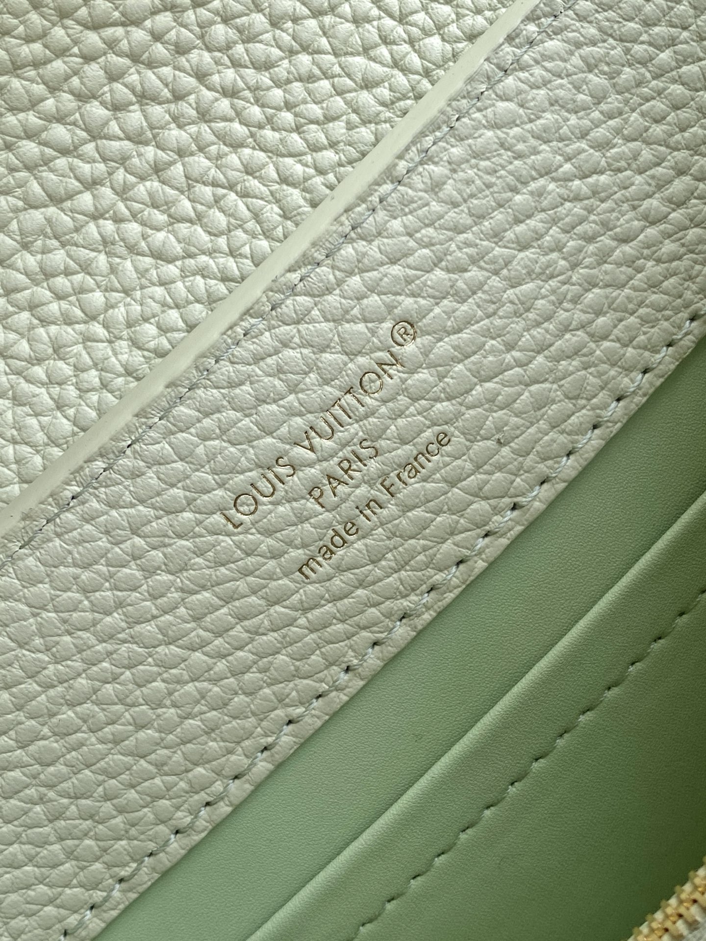 LOUIS VUITTON Minty Capucines Mini Flowergram
