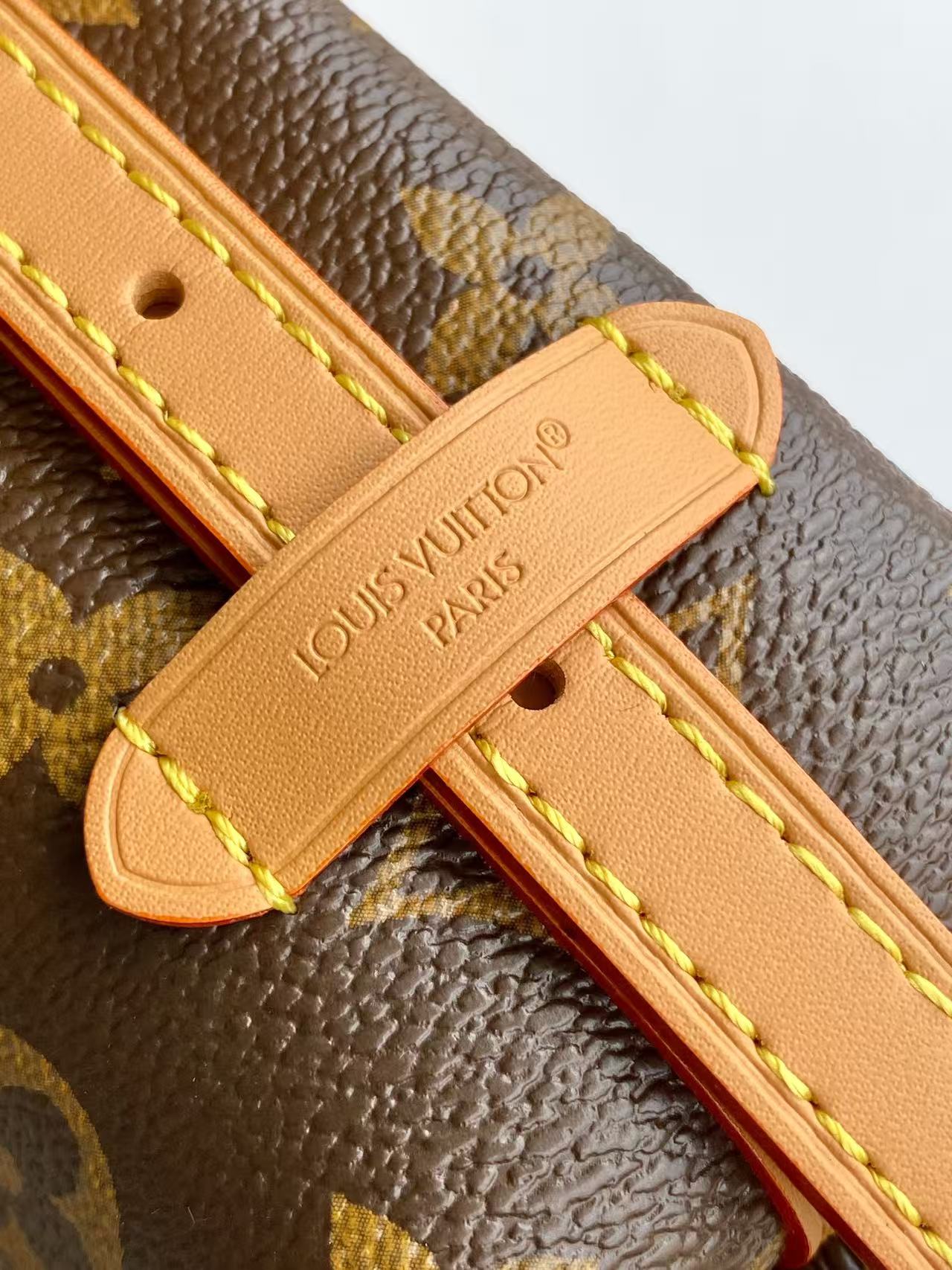 Louis Vuitton Monogram Bow Shoulder Bag
