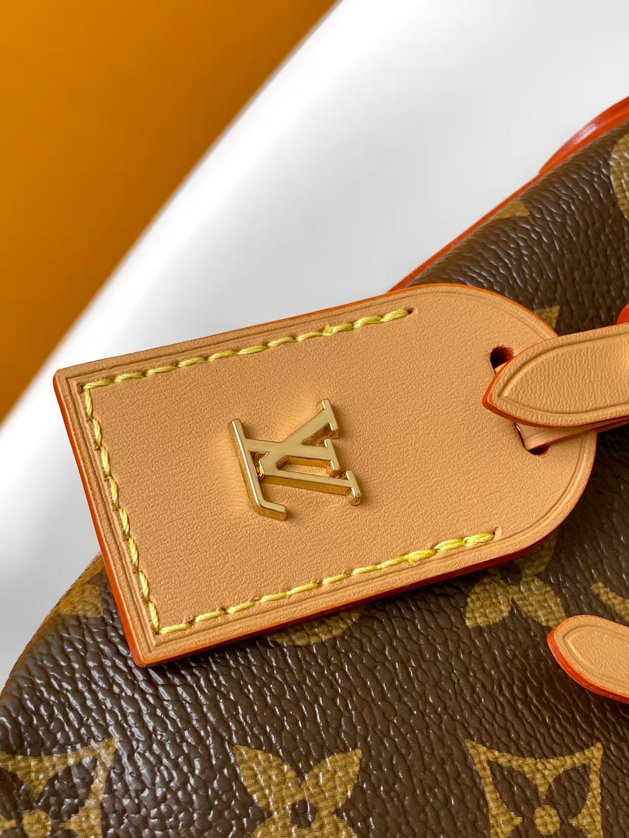 Louis Vuitton Monogram Bow Shoulder Bag
