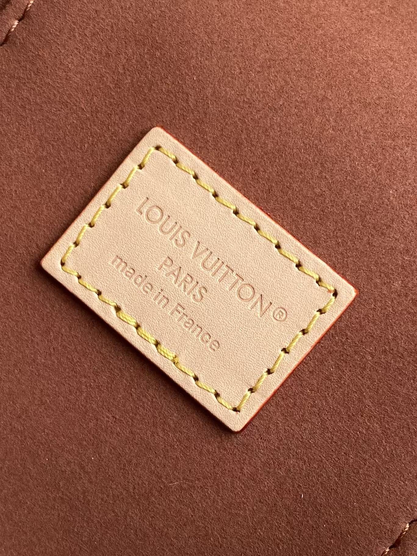 Louis Vuitton Monogram Chain Top-Handle Bag