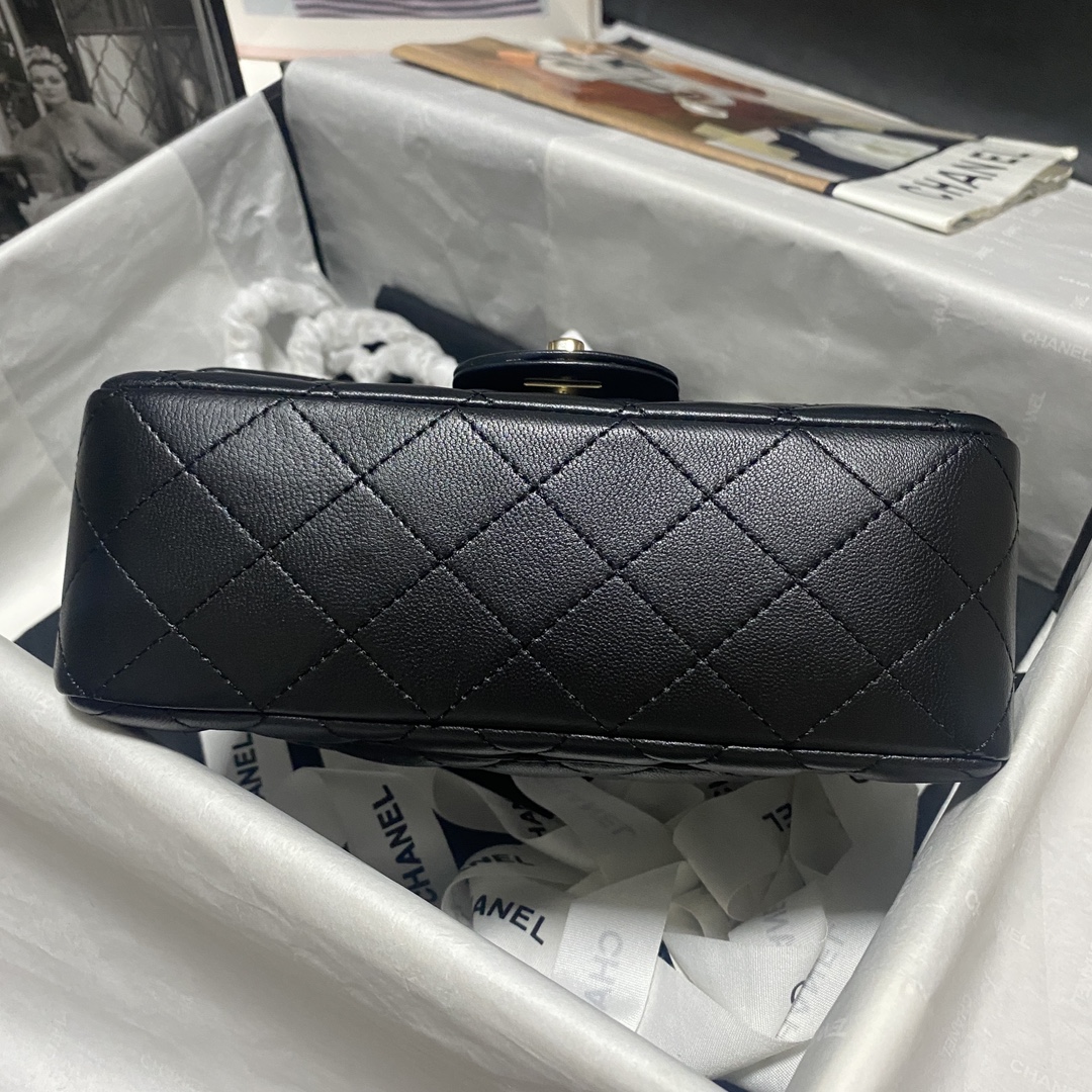 Chanel bag 6