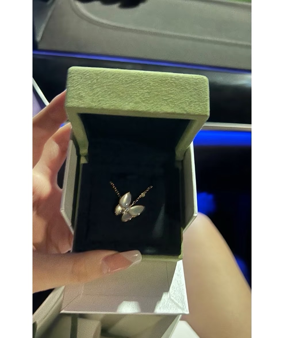 China Replica VCA Jewelry VCAES0406-3739