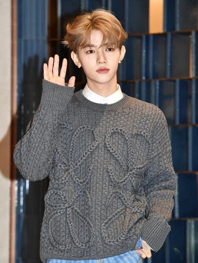 NO:677453,The same style as the stars!  ,Loewe-clothing,loewe,19860909明星同款！,罗意威-服装,loewe,,Women's clothing