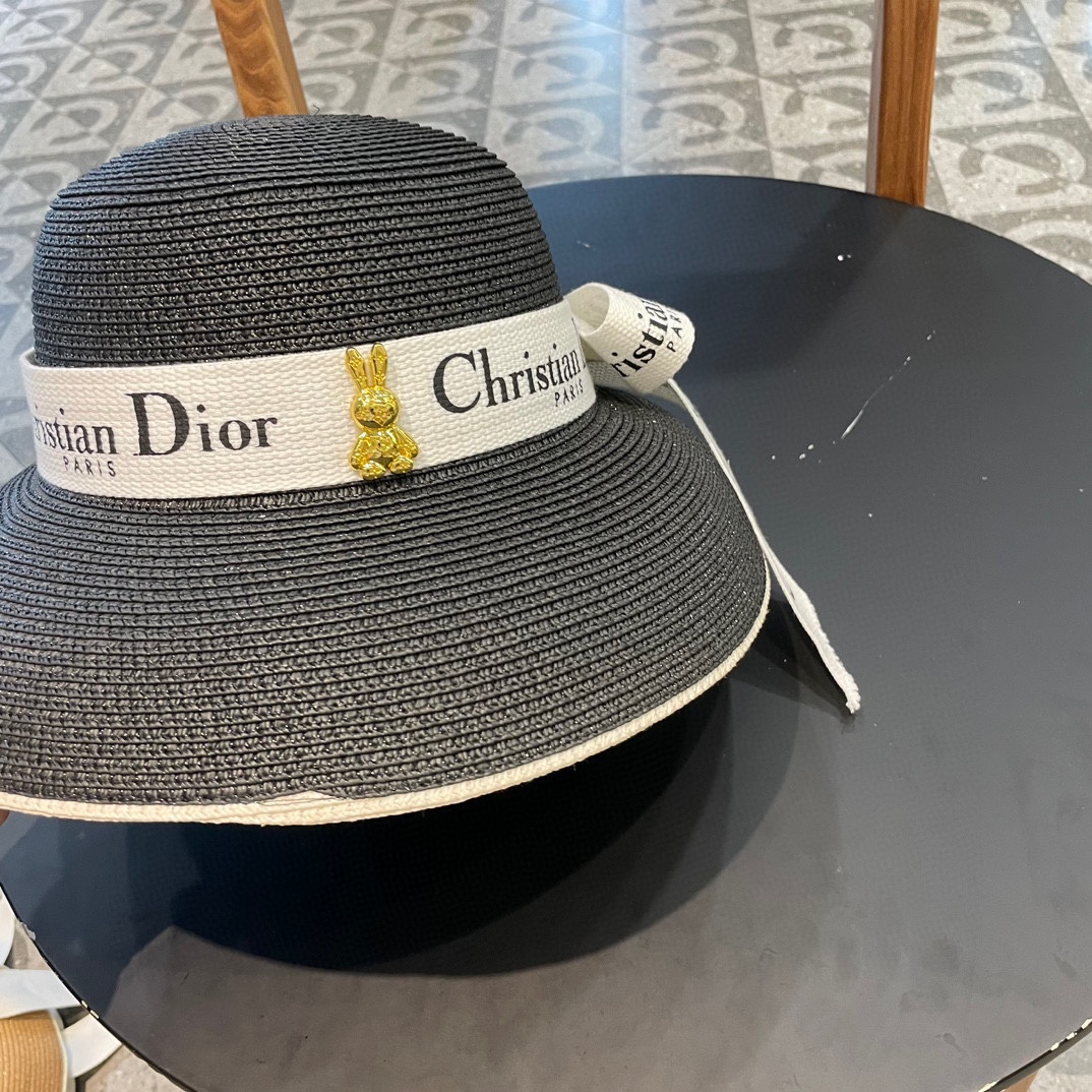  DIOR2025新款上架时尚草帽，超级流行的灯罩帽型，随便搭配都超好看！出门旅游，绝对要入手的一款
