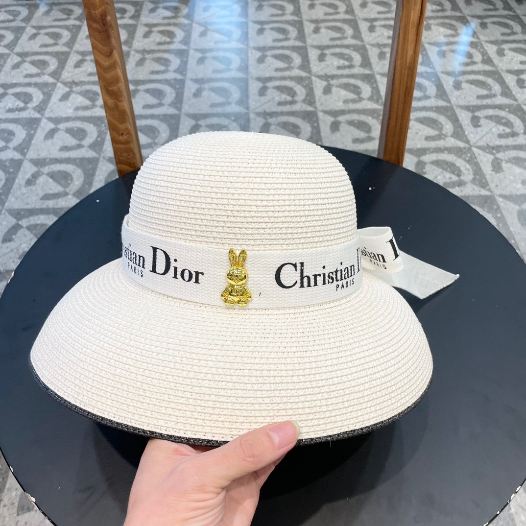  dior2025新款上架时尚草帽，超级流行的灯罩帽型，随便搭配都超好看！出门旅游，绝对要入手的一款
