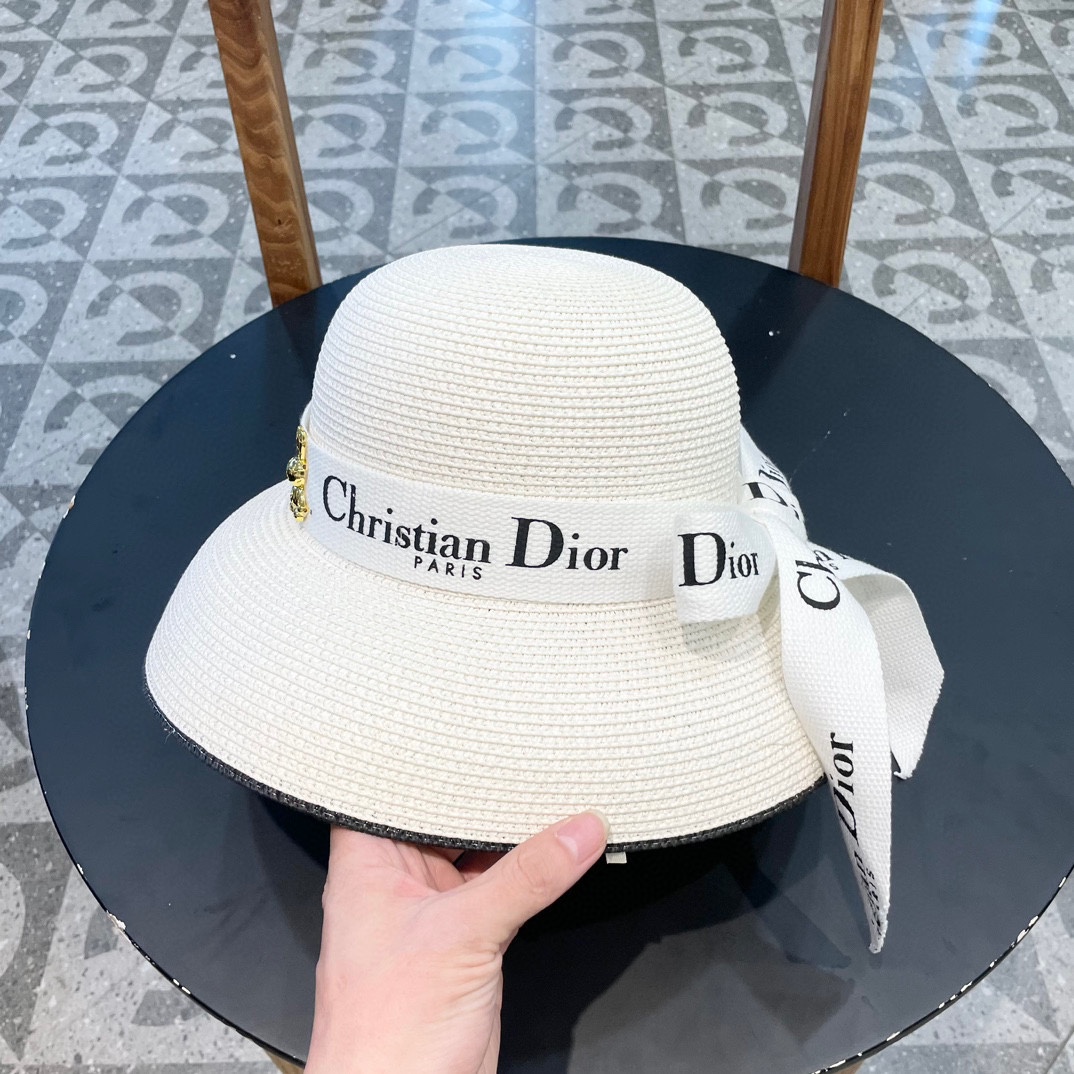  dior2025新款上架时尚草帽，超级流行的灯罩帽型，随便搭配都超好看！出门旅游，绝对要入手的一款