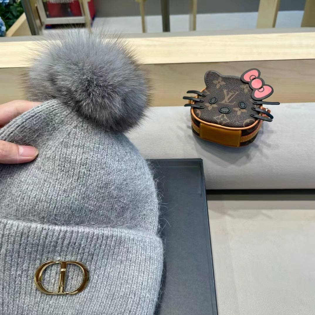 Dior迪奥刺绣毛线帽兔毛针织帽秋冬保暖神器