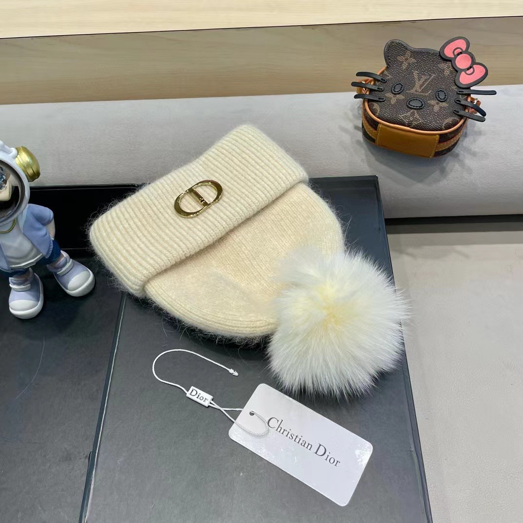 Dior迪奥刺绣毛线帽兔毛针织帽秋冬保暖神器