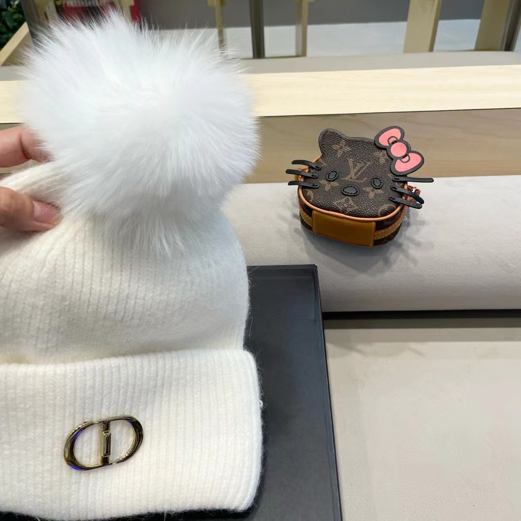 Dior迪奥刺绣毛线帽兔毛针织帽秋冬保暖神器