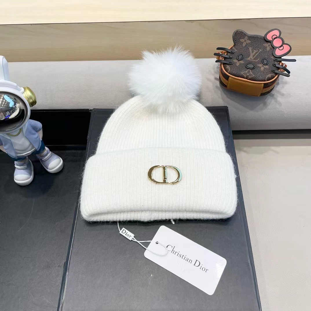 Dior迪奥刺绣毛线帽兔毛针织帽秋冬保暖神器