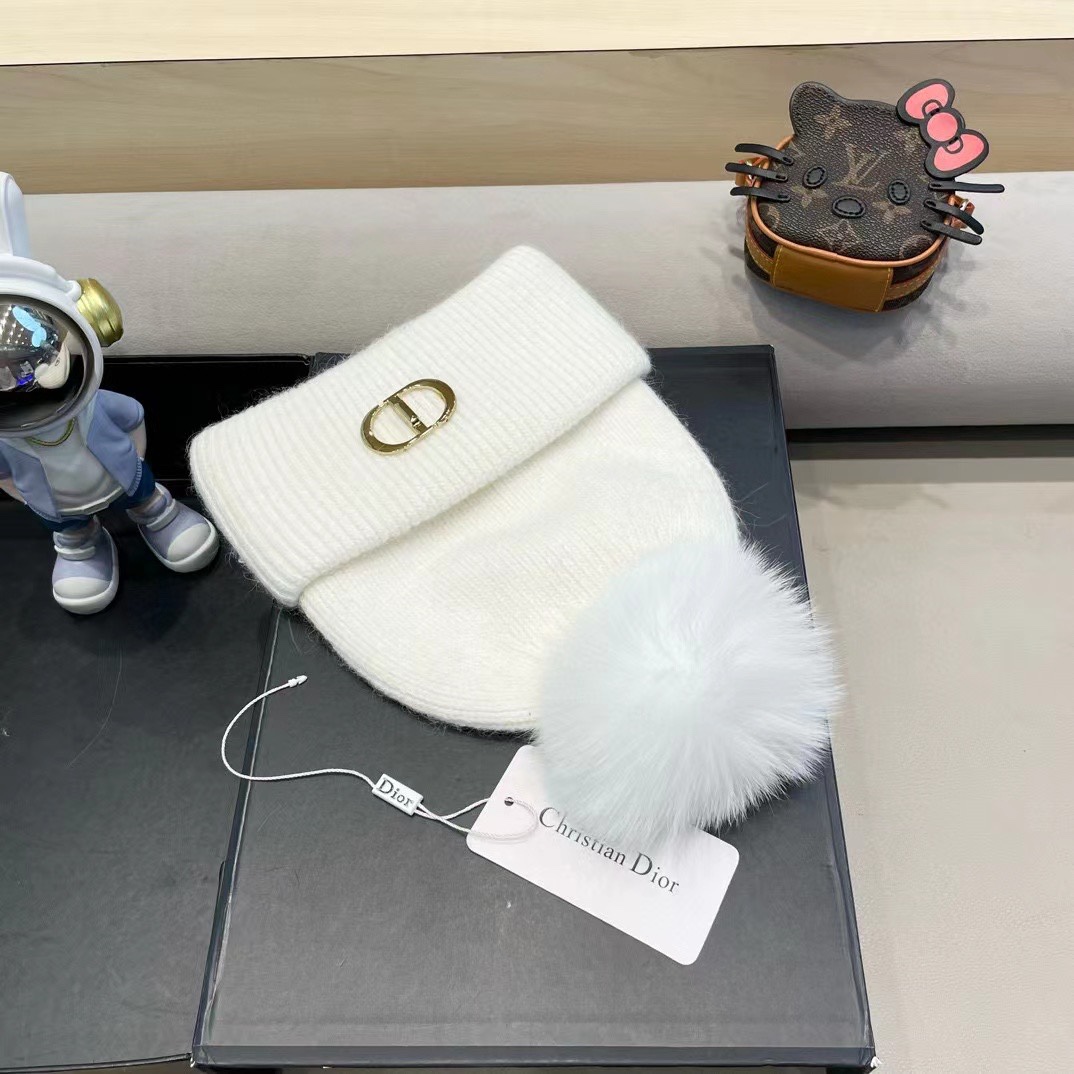 Dior迪奥刺绣毛线帽兔毛针织帽秋冬保暖神器