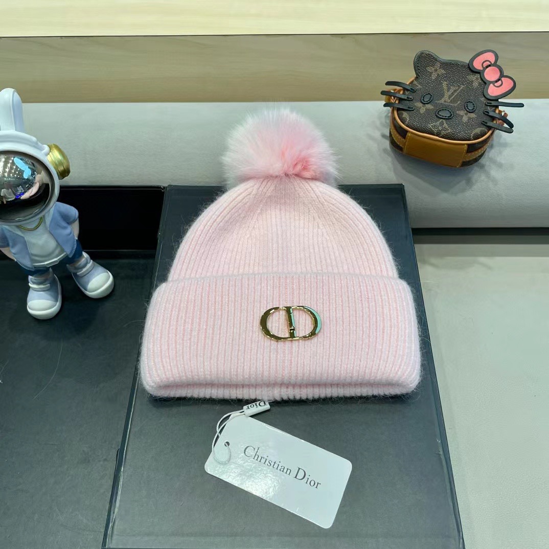 Dior迪奥刺绣毛线帽兔毛针织帽秋冬保暖神器