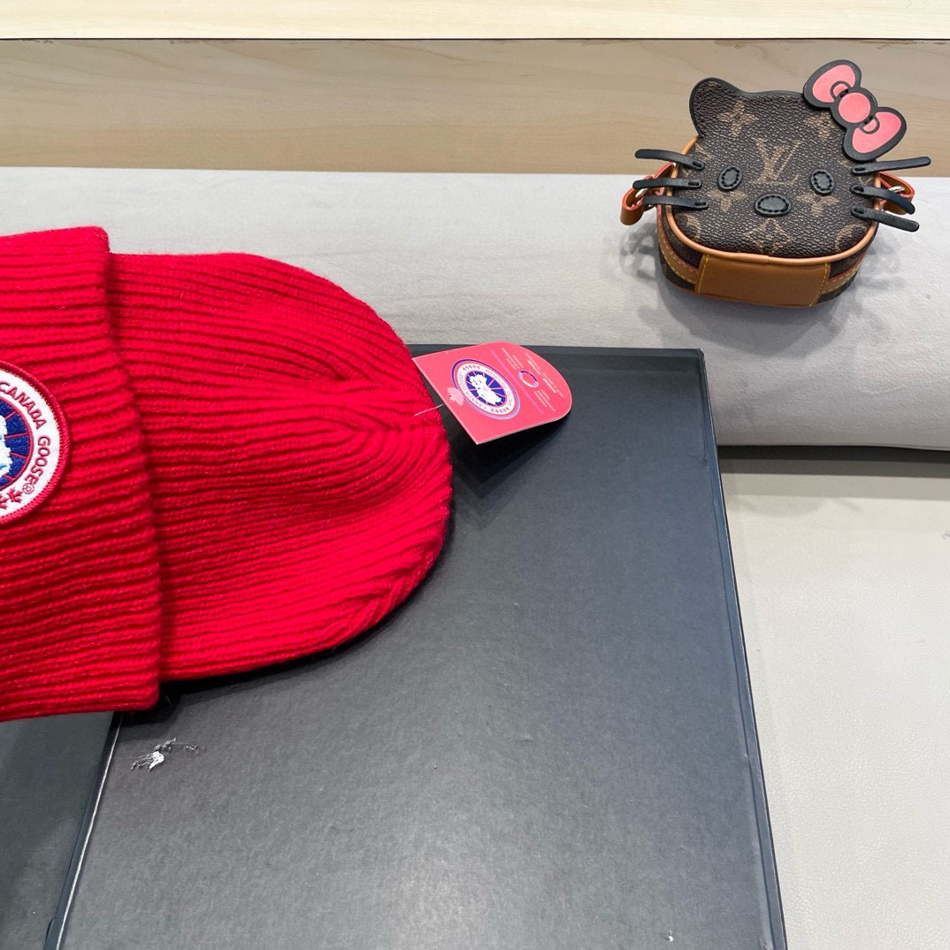 加拿大鹅秋冬新品北欧风格高弹力针织毛线帽薄款滑雪冷帽情侣款