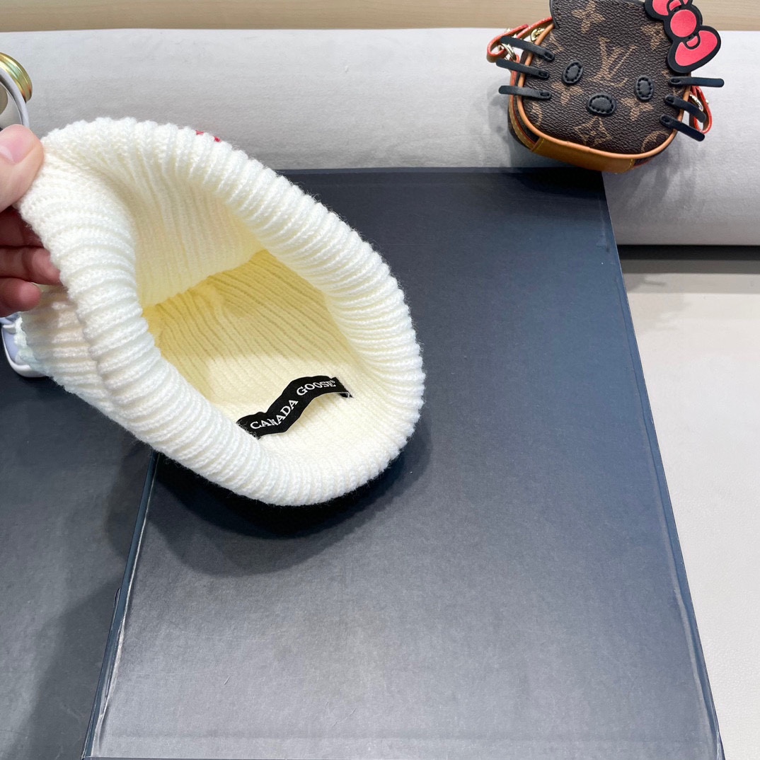 “New Canadian Goose Wool Knit Hat: Soft, Flexible, and Stylish!” - 图片 7