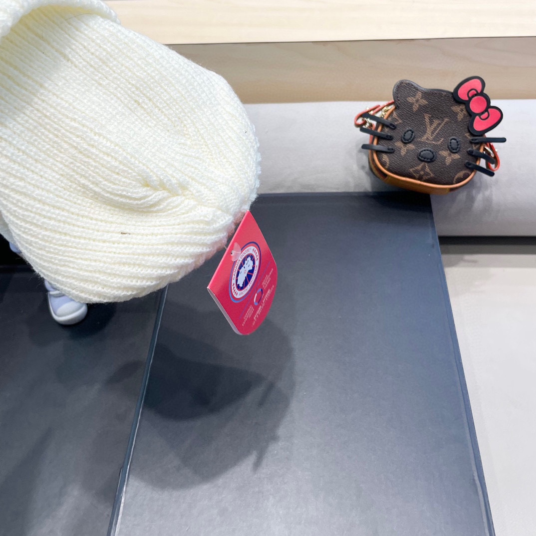 “New Canadian Goose Wool Knit Hat: Soft, Flexible, and Stylish!” - 图片 6