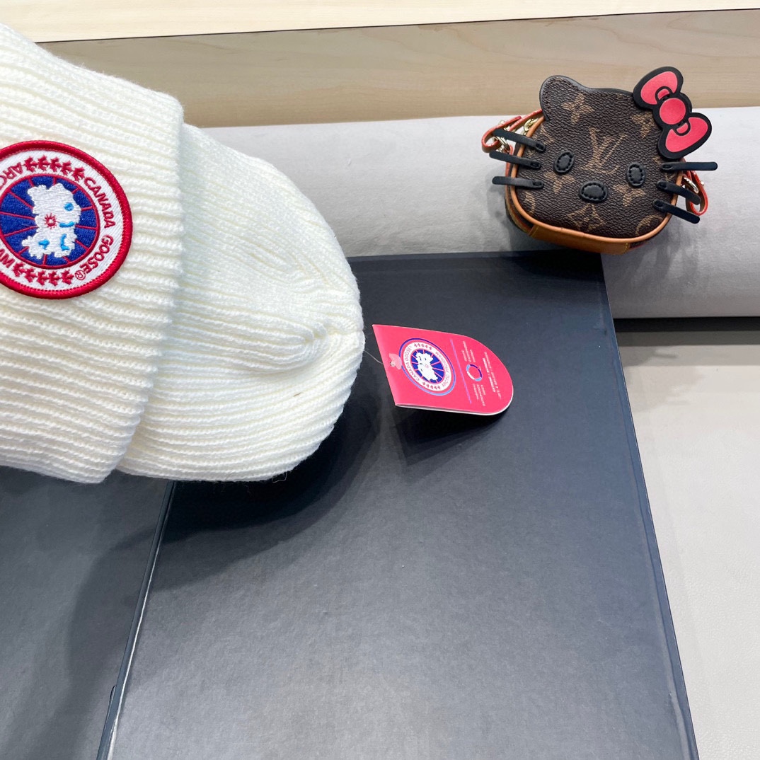 “New Canadian Goose Wool Knit Hat: Soft, Flexible, and Stylish!” - 图片 4