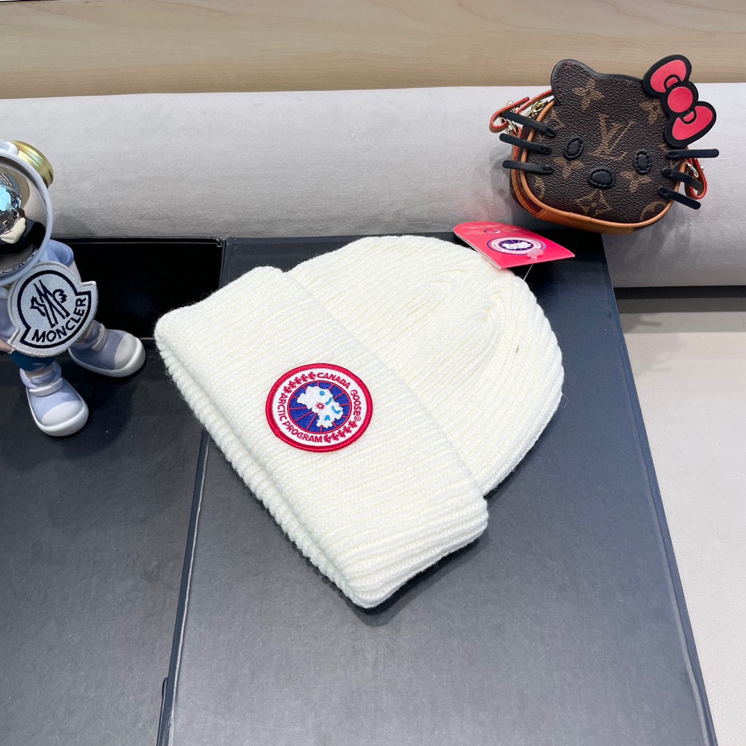 “New Canadian Goose Wool Knit Hat: Soft, Flexible, and Stylish!” - 图片 2