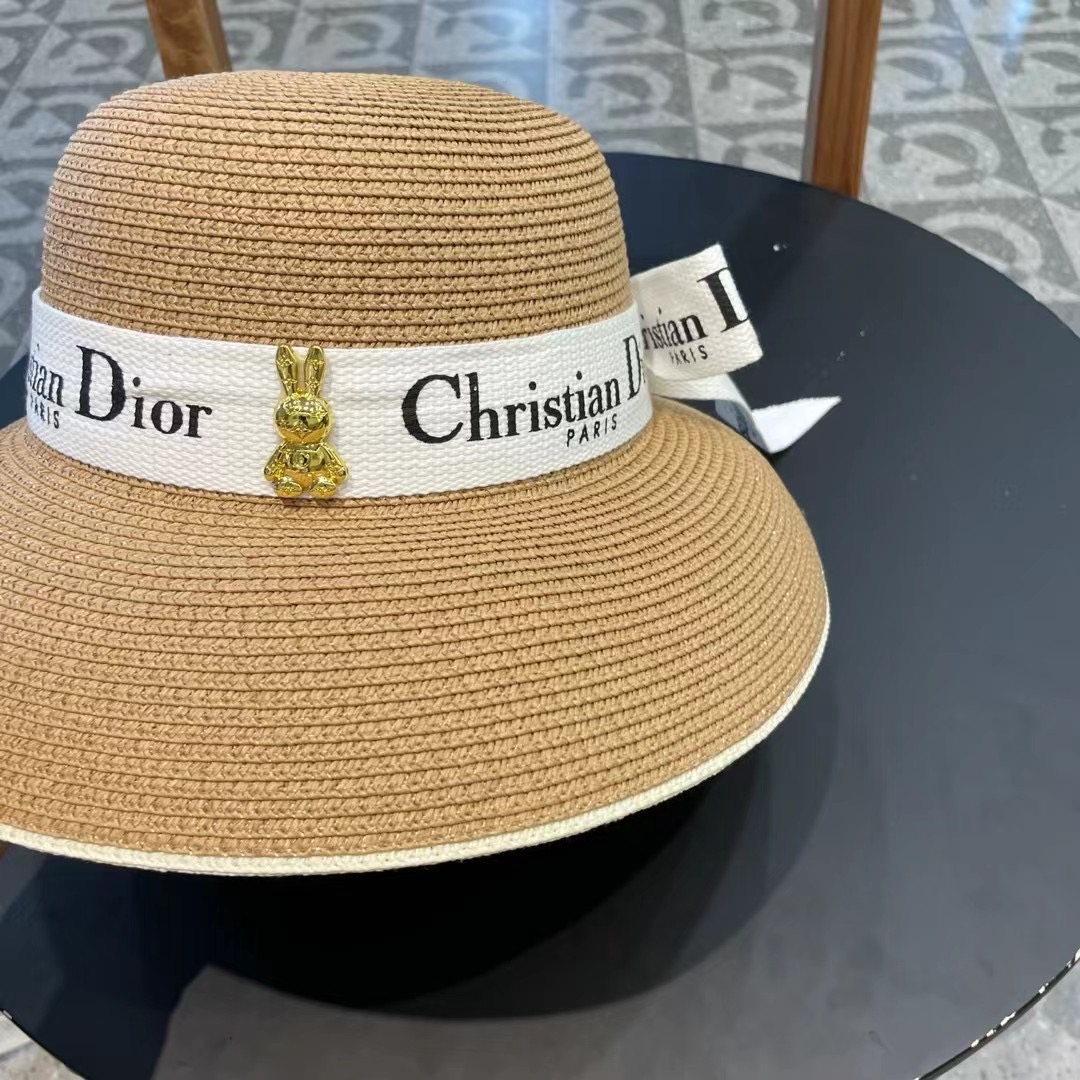  dior2025新款上架时尚草帽，超级流行的灯罩帽型，随便搭配都超好看！出门旅游，绝对要入手的一款