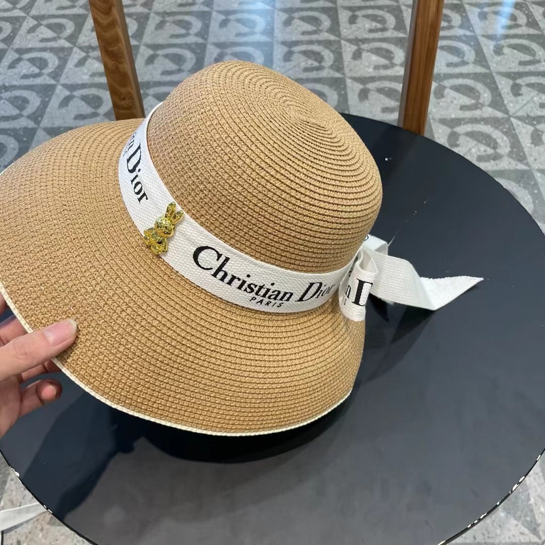  dior2025新款上架时尚草帽，超级流行的灯罩帽型，随便搭配都超好看！出门旅游，绝对要入手的一款