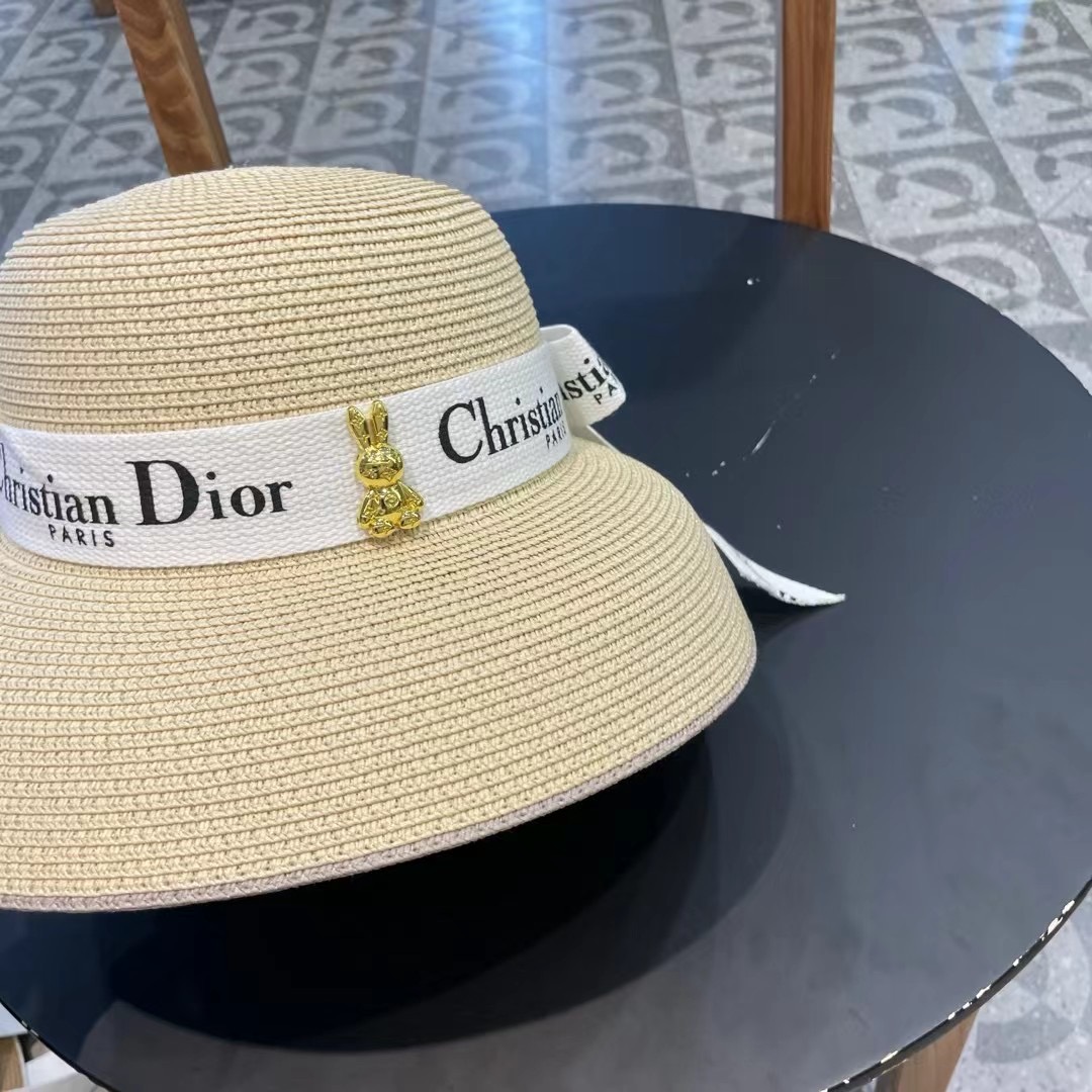  dior2025新款上架时尚草帽，超级流行的灯罩帽型，随便搭配都超好看！出门旅游，绝对要入手的一款