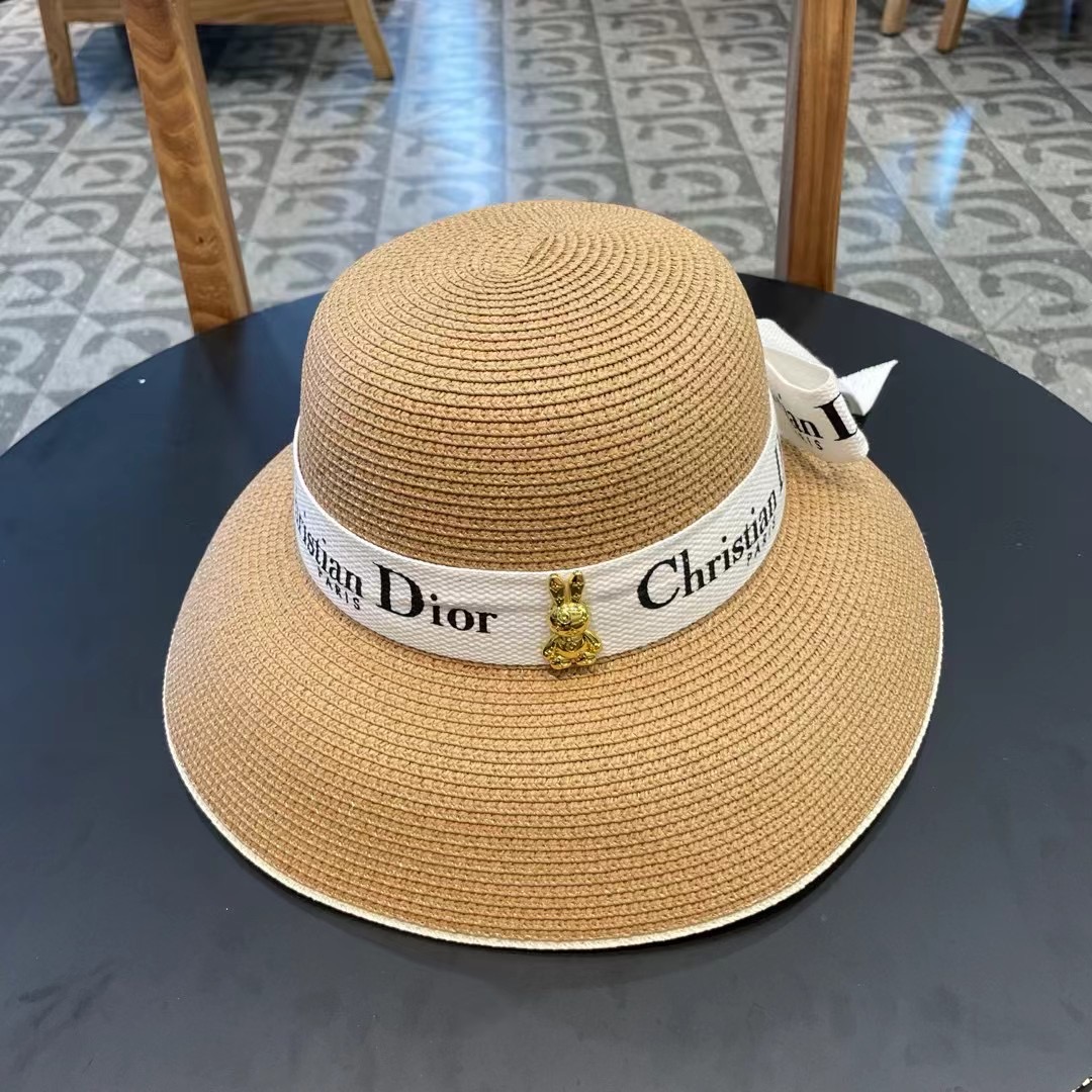 шляпа dior New