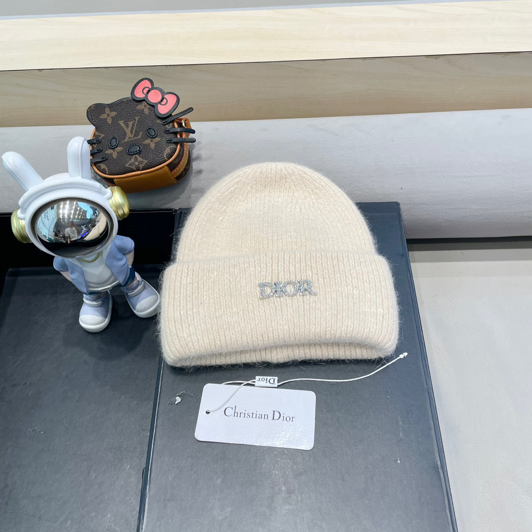 Dior迪奥秋冬新款针织帽简约百搭时尚毛线帽显脸小保暖护耳男女同款帽子