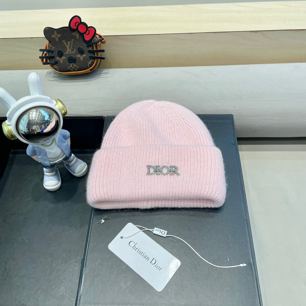 Dior迪奥秋冬新款针织帽简约百搭时尚毛线帽显脸小保暖护耳男女同款帽子