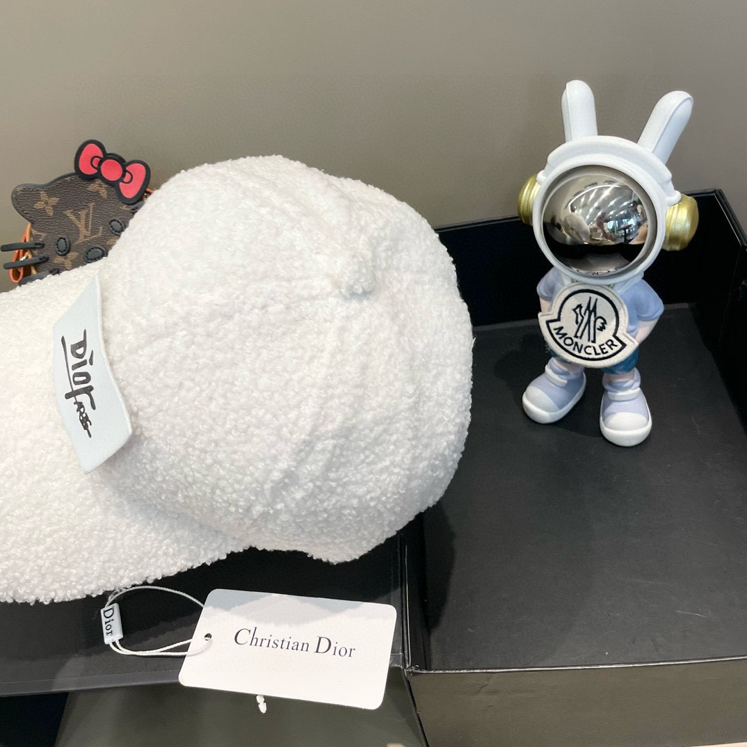 DIOR迪奥 2024 秋冬新款官网同步羊羔毛刺绣棒球帽，整个帽子质感超级好，网红爆款休闲时尚 百搭，超