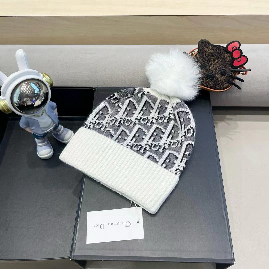 Dior迪奥刺绣毛线帽，兔毛针织帽，秋冬保暖神器