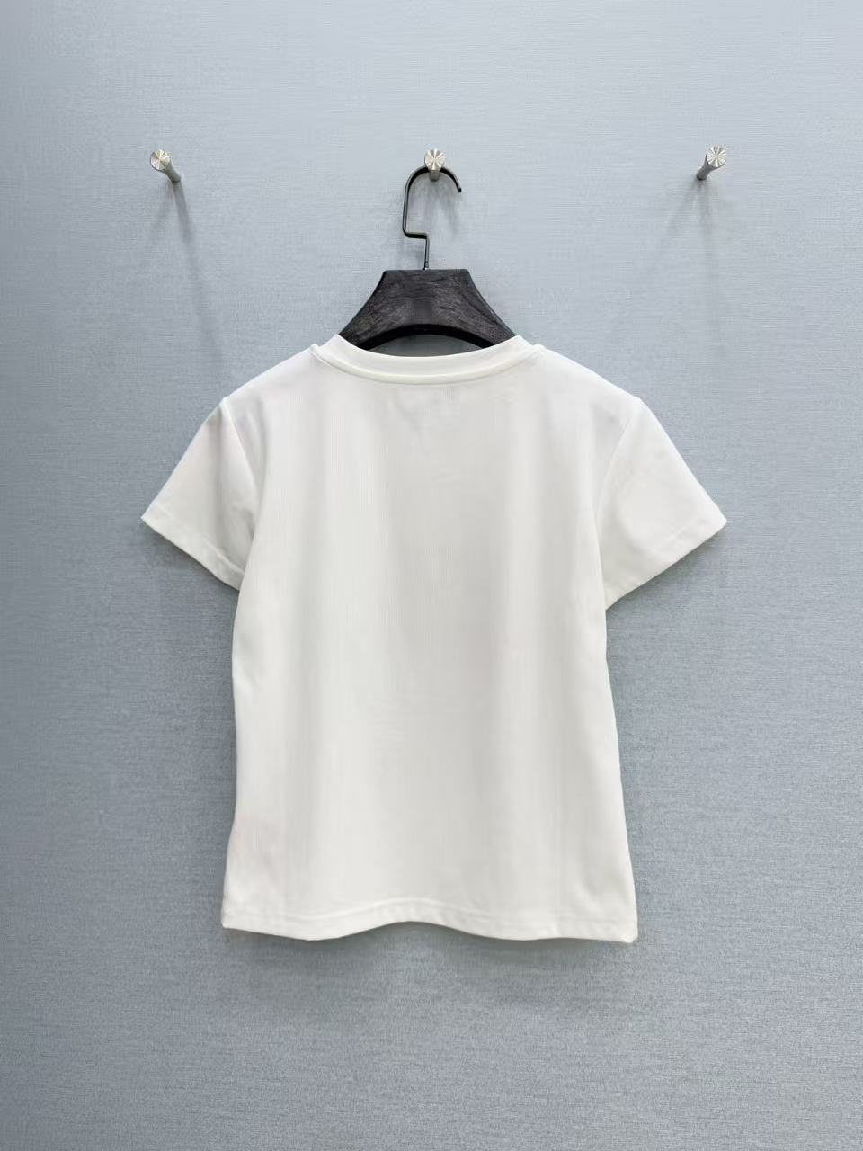 🛒𝐍𝐄𝐖 · 𝟐𝟎𝟐6/爆款现货【春夏上新】 设计师小众｜2026新款印花刺绣T恤高订面料，百搭小版型 