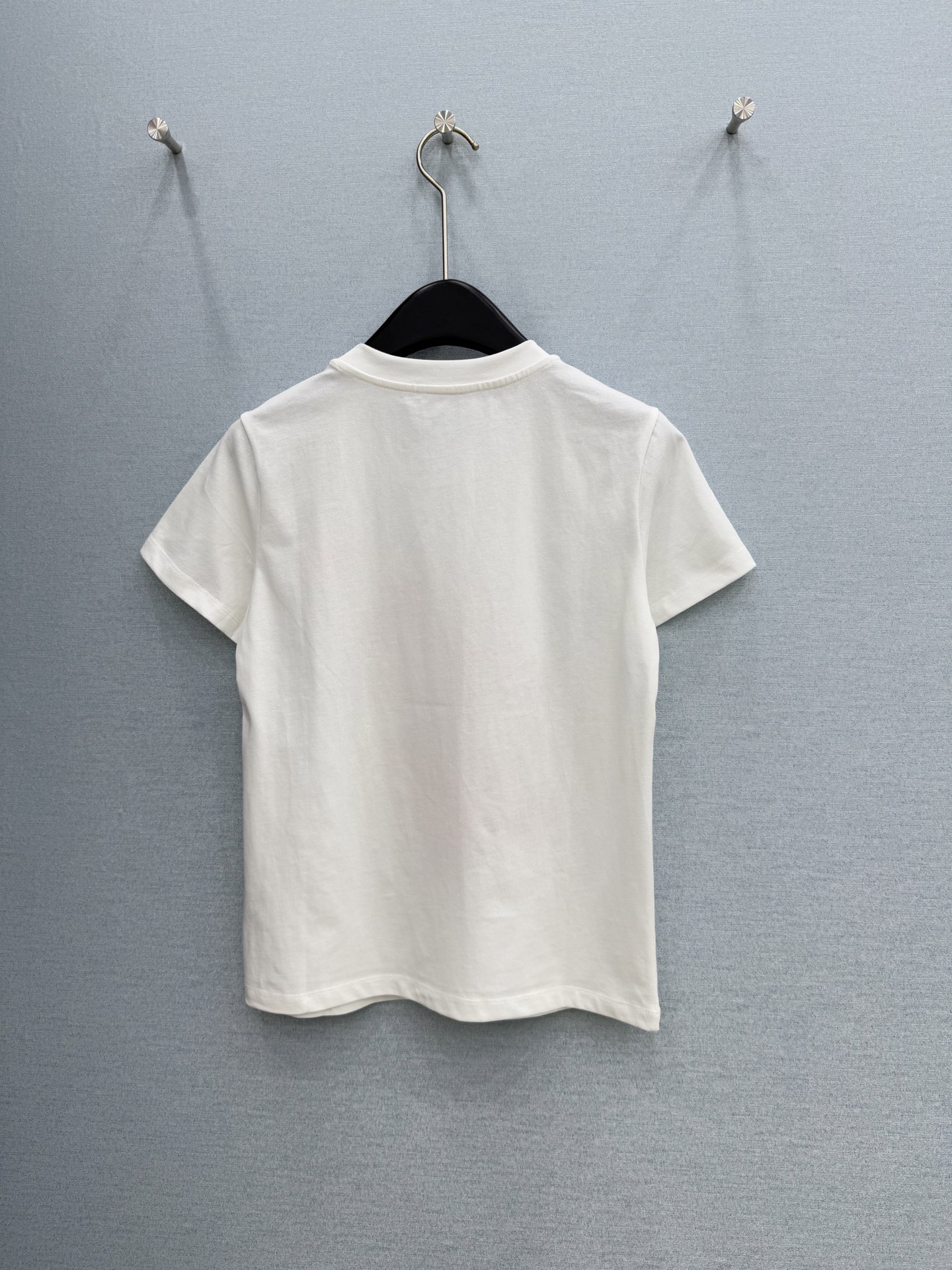 🛒𝐍𝐄𝐖 · 𝟐𝟎𝟐6/爆款现货【春夏上新】 Di*｜2026新款刺绣T恤高订面料，百搭版型 ，上身的触