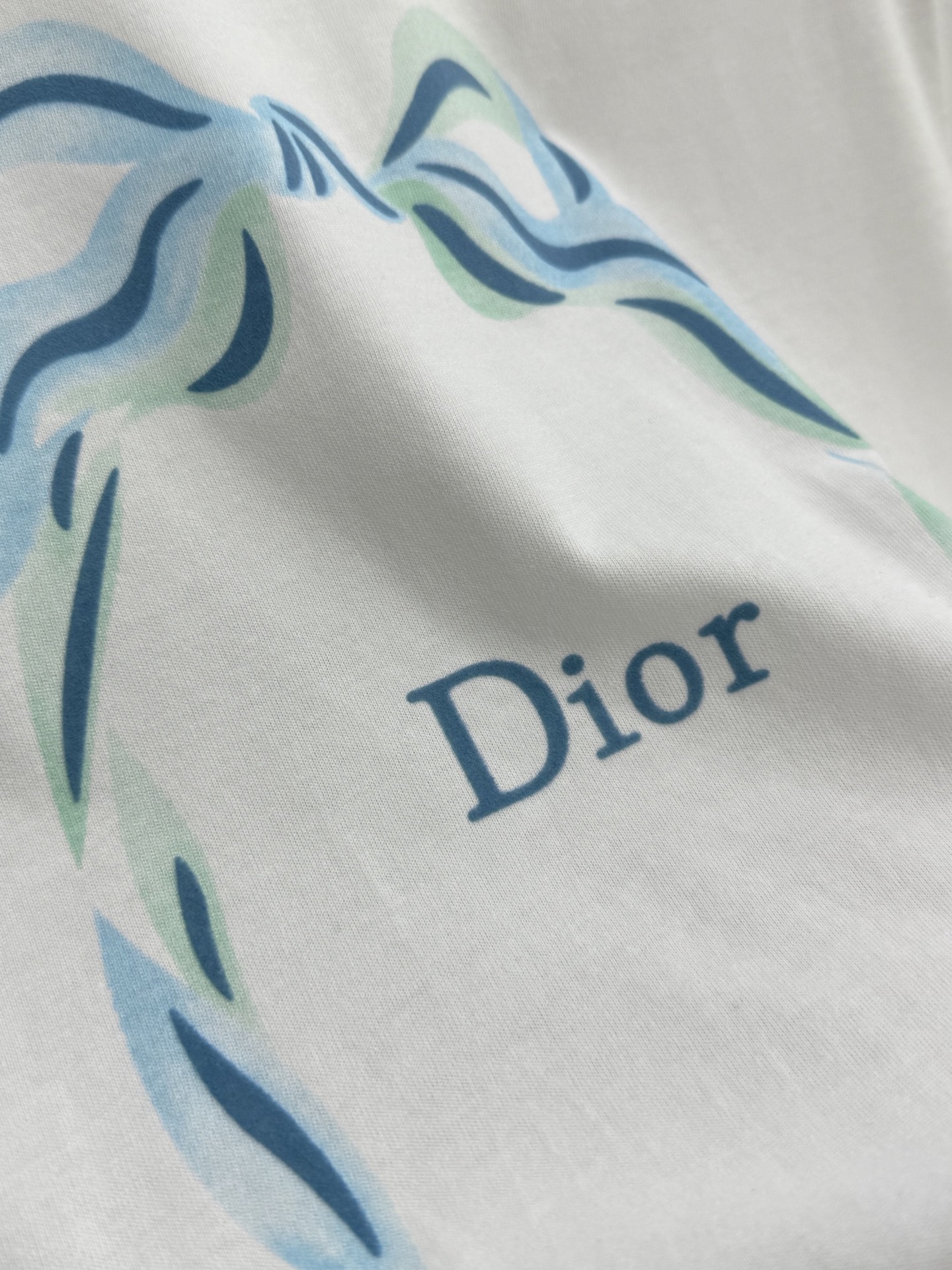 🛒𝐍𝐄𝐖 · 𝟐𝟎𝟐6/爆款现货【春夏上新】 Dio*｜2026新款印花字母T恤高订面料，百搭版型  ，