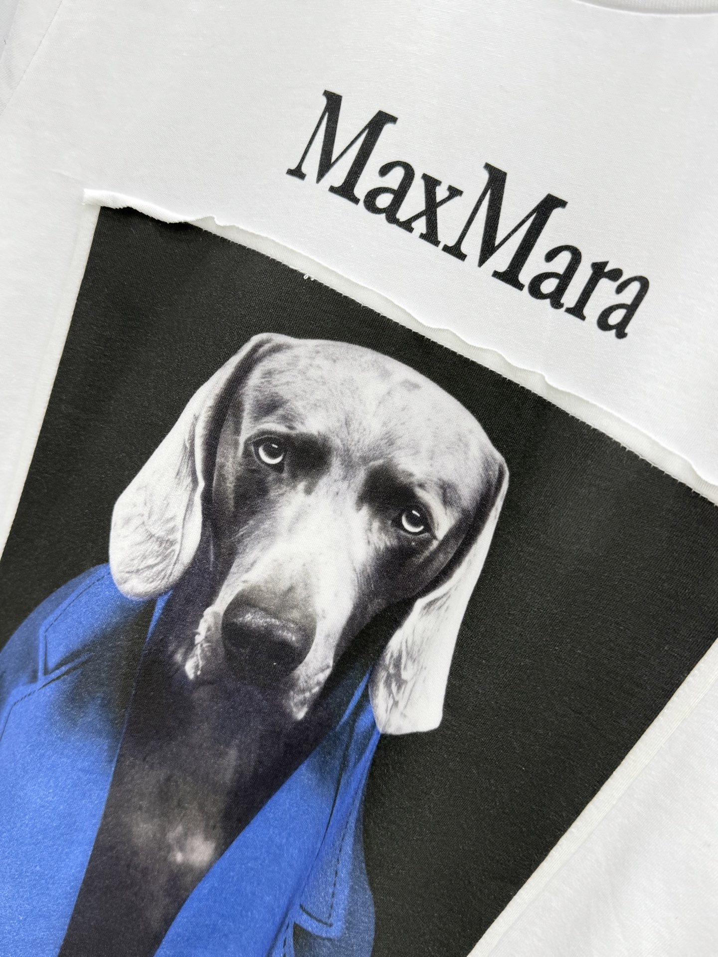 🛒𝐍𝐄𝐖 · 𝟐𝟎𝟐6/爆款现货【春夏上新】 Max*｜2026新款贴画T恤高订面料，百搭版型  ，上身