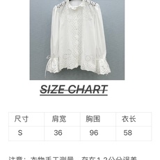 🛒𝐍𝐄𝐖 · 𝟐𝟎𝟐6/爆款现货 原单品质 小众|26经典水溶镂空刺绣纯色衬衫 法式极致穿搭 最新系列单品 强烈推荐 🛒𝐍𝐄𝐖 · 𝟐𝟎𝟐6/爆款现货 原单品质 小众|26经典水溶镂空刺绣纯色衬衫 法式极致穿搭 最新系列单品 强烈推荐
