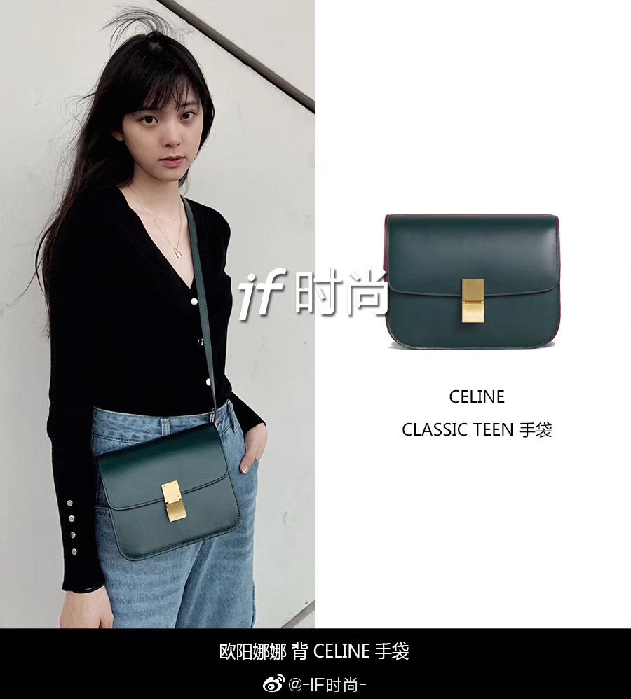 NO:198291,Model upper body picture, Celine, Celine, Celine19860909模特上身图,赛琳celine,celine,celine,Bag