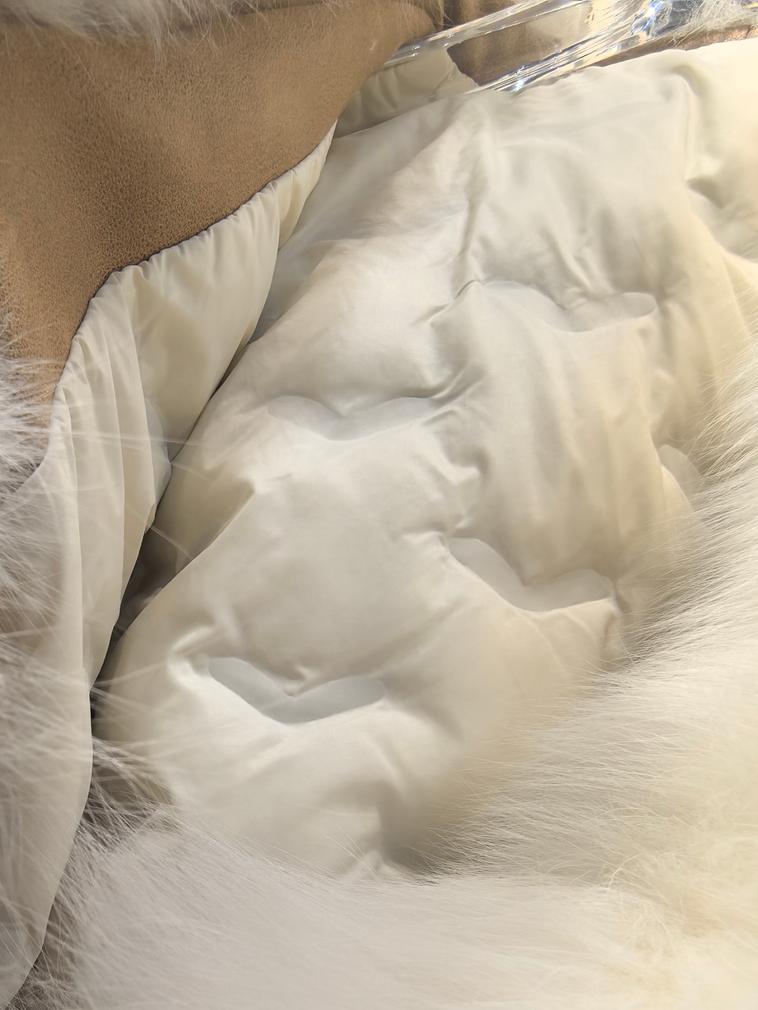 P1564 High-end quality women ‘ s clothing with dustproof bags max ♪ The fox’s furry velvet ♪ - 图片 7