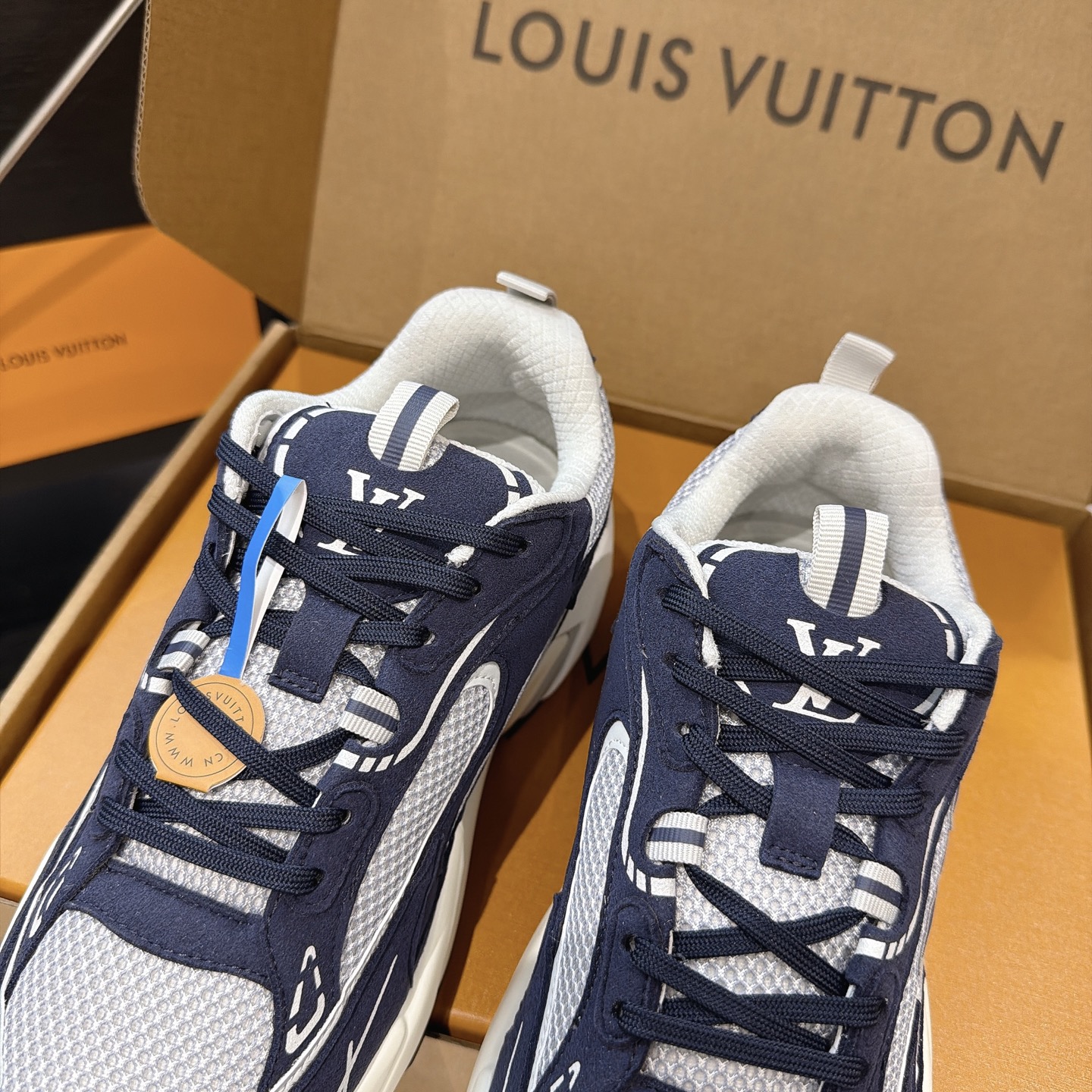Louis Vuitton Sneakers
