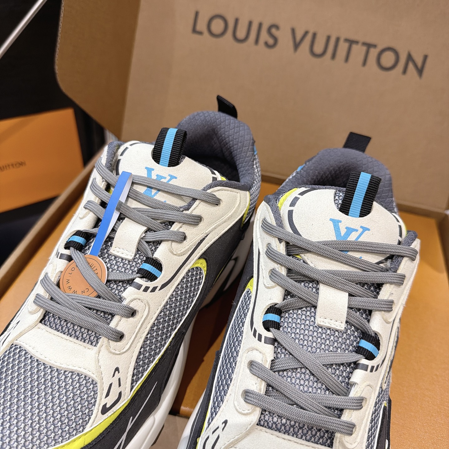 Louis Vuitton Sneakers