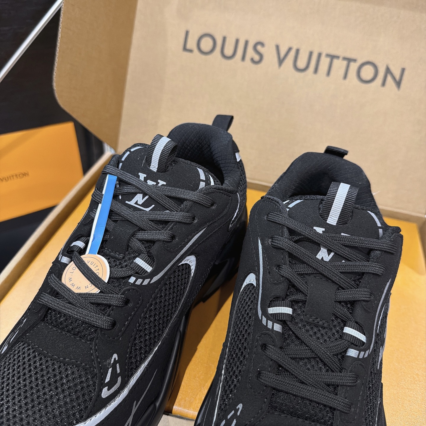Louis Vuitton Sneakers