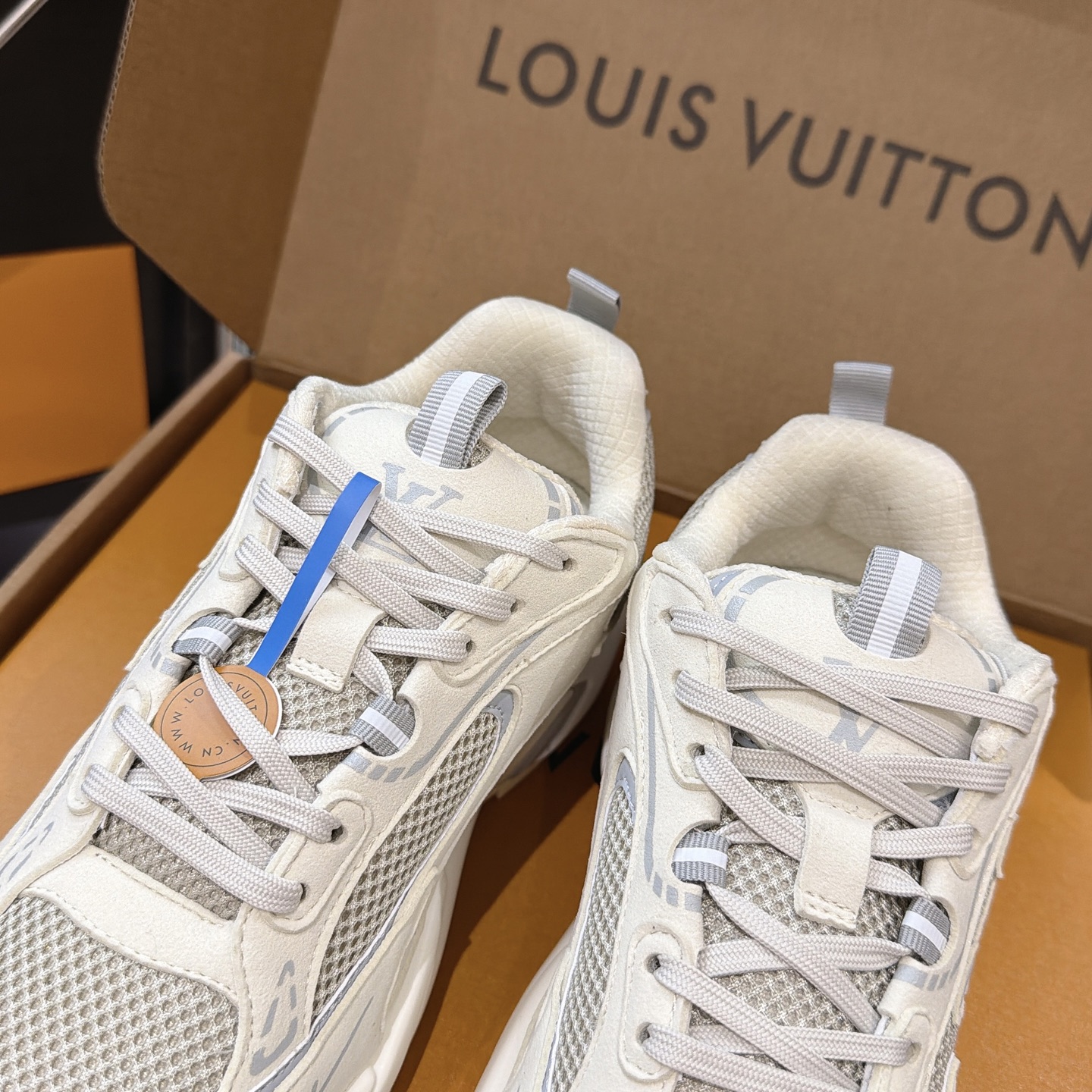 Louis Vuitton Sneakers