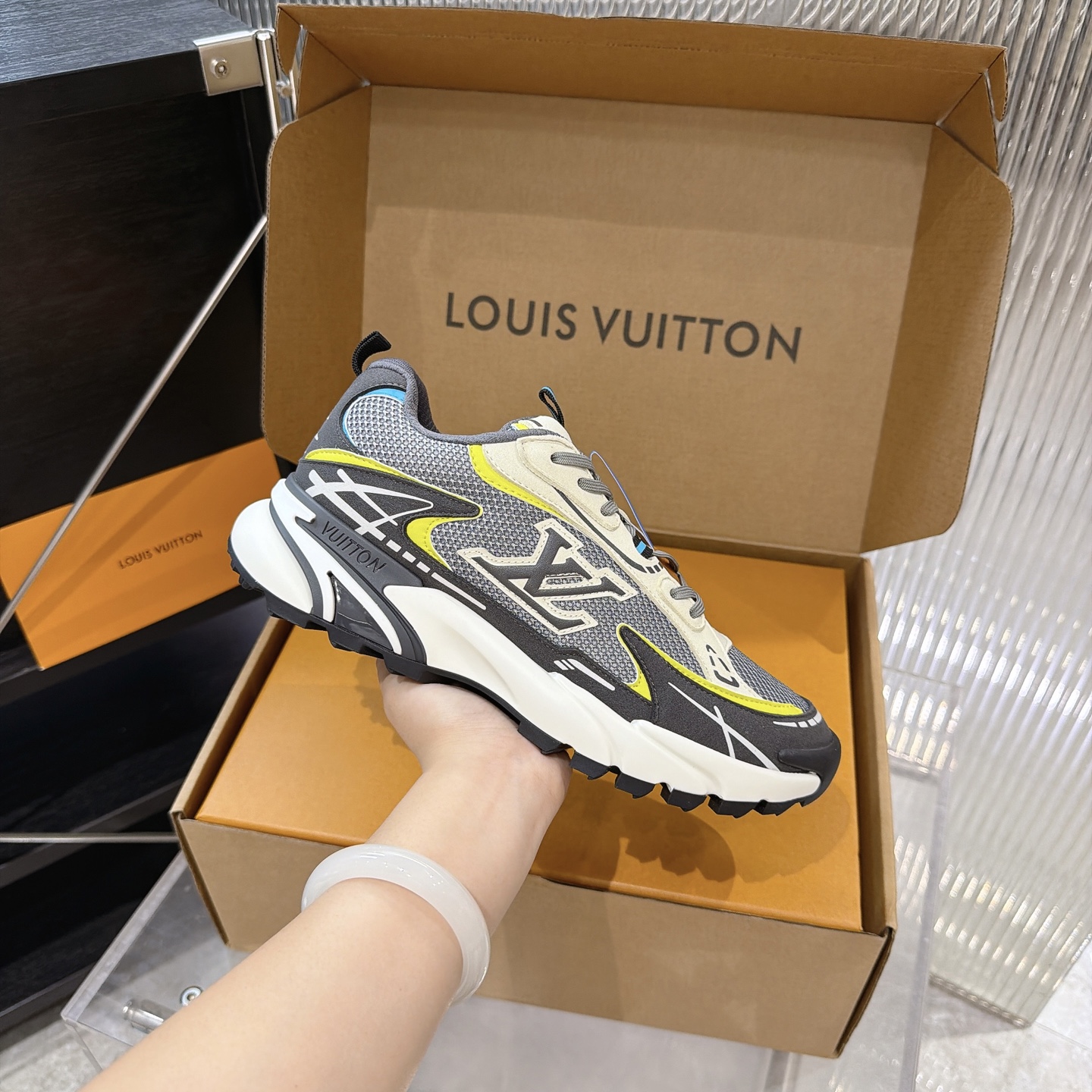 Louis Vuitton Sneakers